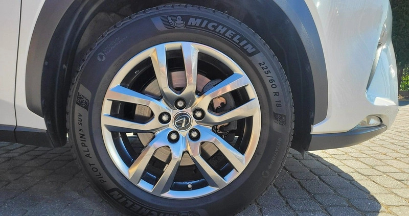 Lexus NX cena 138900 przebieg: 49474, rok produkcji 2019 z Kraśnik małe 781